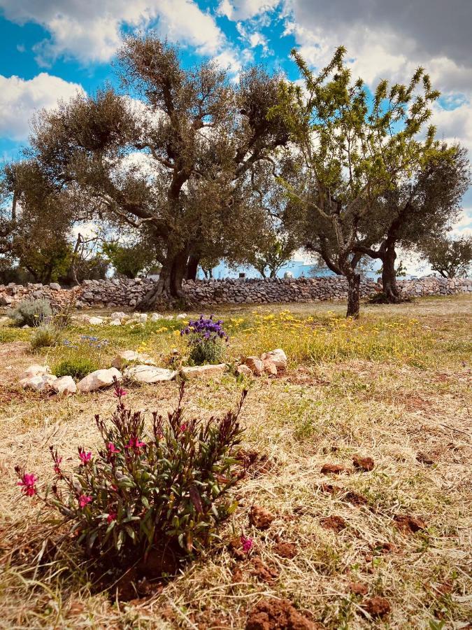 Vila Trulli Acquasala - Apulian Country Experience Ostuni Exteriér fotografie